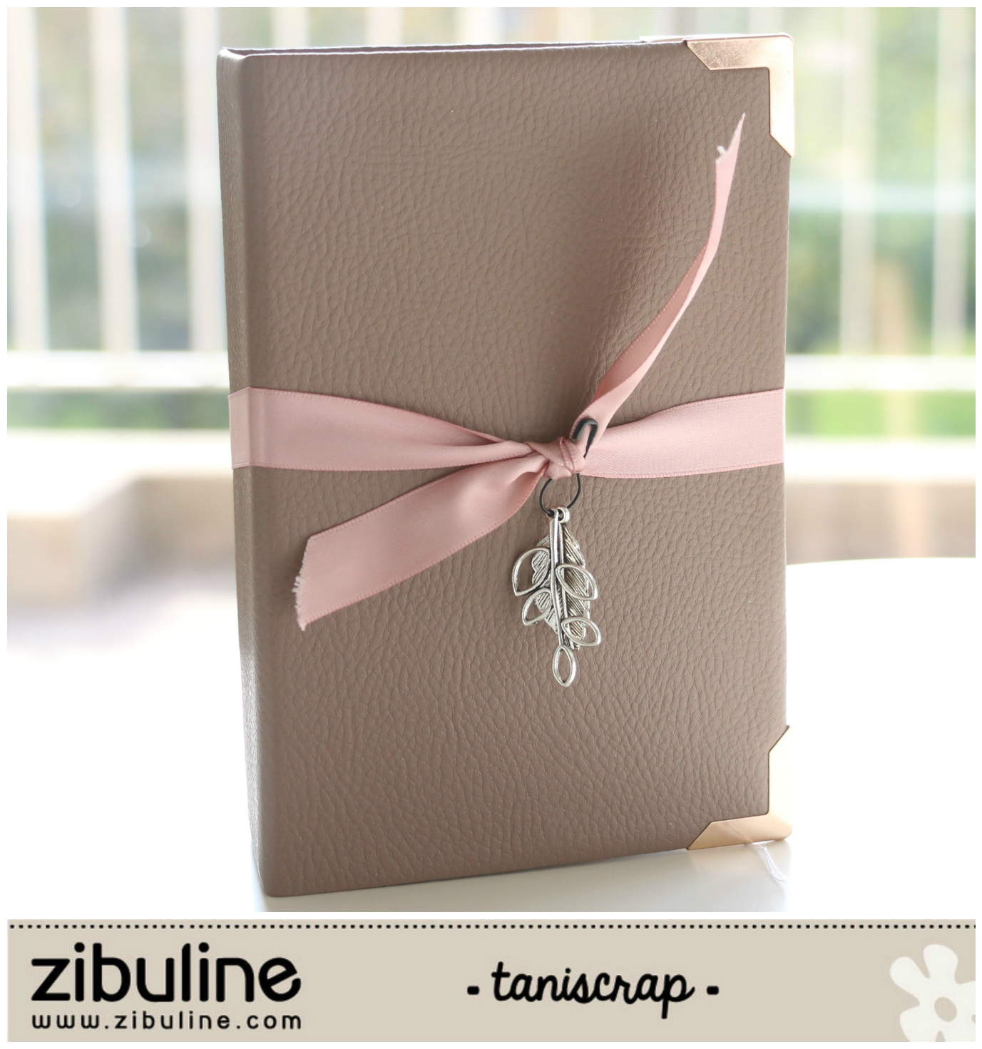 Mini album « Souvenir de famille » Taniscrap L'univers de Zibuline